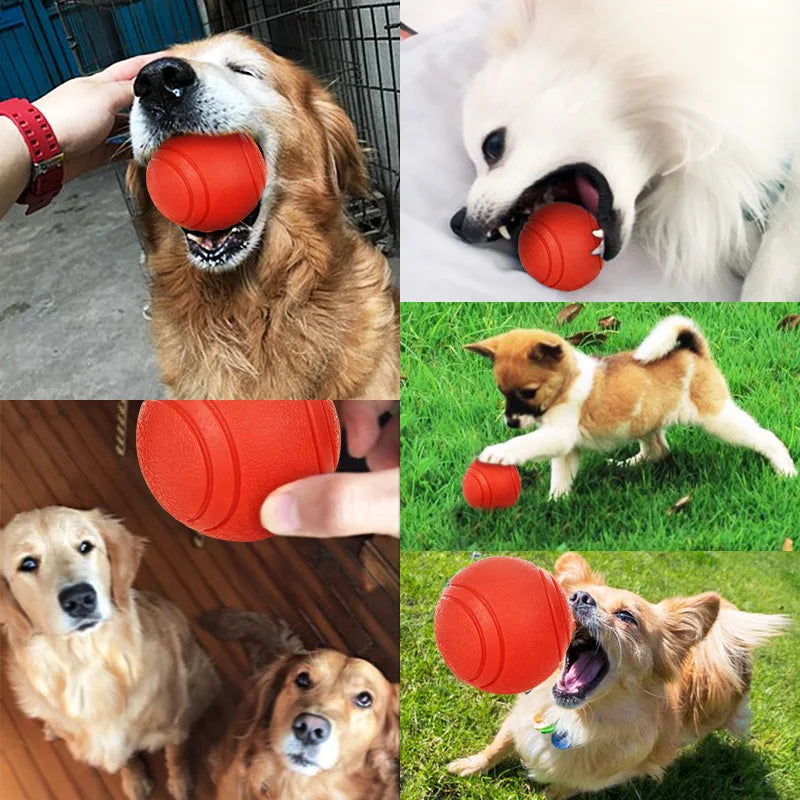 Dog Bite-Resistant Ball Toy for Dogs Solid Ball S-XL Pet Supplies