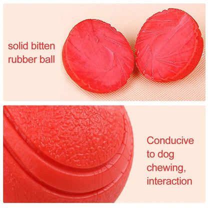 Dog Bite-Resistant Ball Toy for Dogs Solid Ball S-XL Pet Supplies